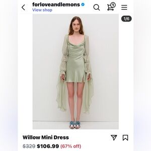 Willow Green Princess Sleeve Mini Dress